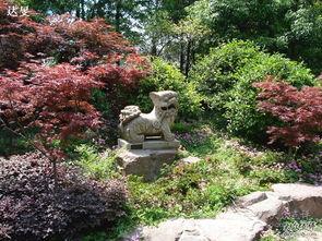 公园假山吃瓜,公园假山下的夏日吃瓜时光