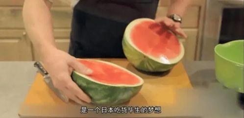 100斤以下吃瓜群众,100斤以下吃瓜群众的独特视角