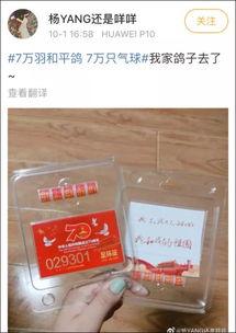 吃瓜的鸽子,吃瓜鸽子的趣味日常