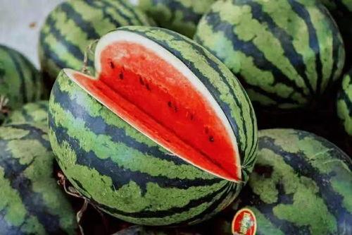 征神最新吃瓜,揭秘最新吃瓜事件，神界风云再起