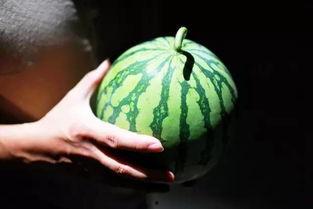 温岭吃瓜群,揭秘网络社交背后的趣味与争议