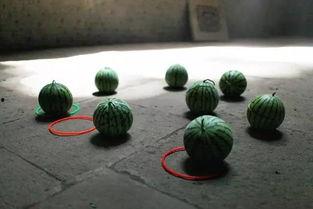 温岭吃瓜群,揭秘网络社交背后的趣味与争议