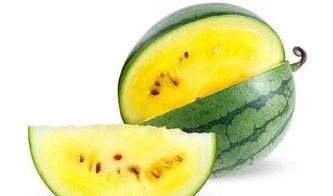 潜水吃瓜最高效,解锁高效休闲新姿势