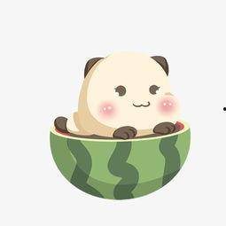 吃瓜小熊画妆,揭秘萌宠美妆新潮流