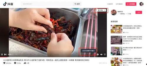 抖音悄悄吃瓜,揭秘“悄悄吃瓜”背后的趣味与真相