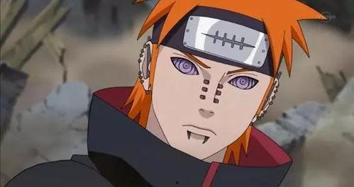 佩恩带你吃瓜,吃瓜之旅尽享人间烟火气