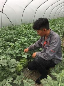 浙江绍兴医院吃瓜,一场网络热议背后的真相揭秘