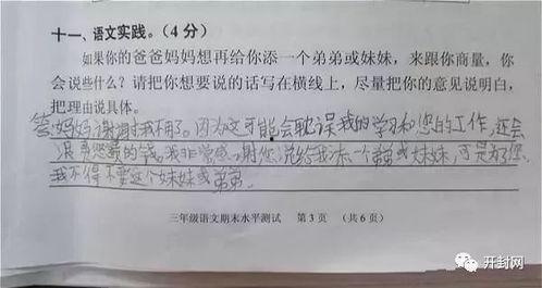吃瓜试卷系统,趣味与知识的完美融合