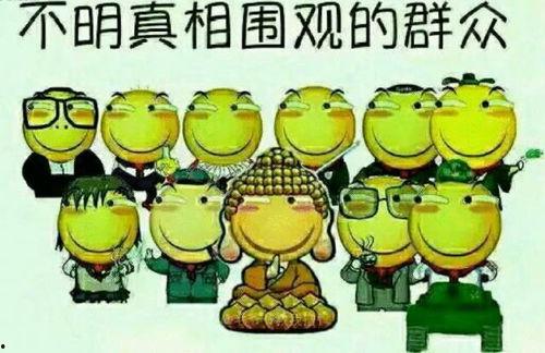 富人游戏吃瓜群众,吃瓜群众揭秘财富背后的秘密