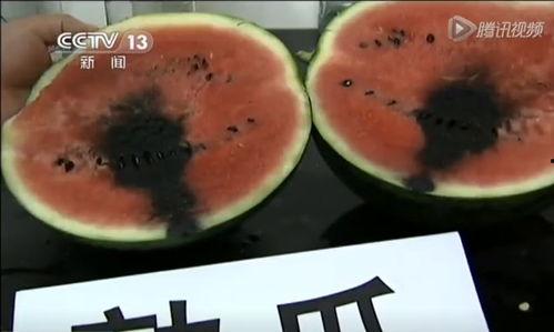 钢子吃瓜视频,揭秘娱乐圈幕后真相